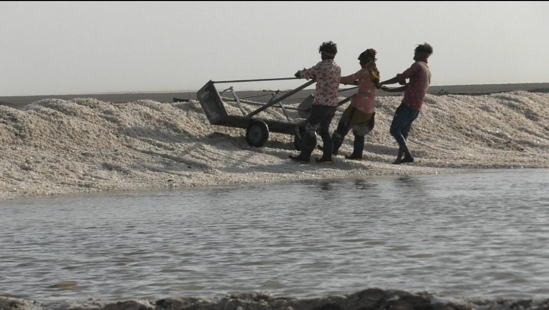 Many challenges to the salt-baking Agaryas in the small desert of Kutch