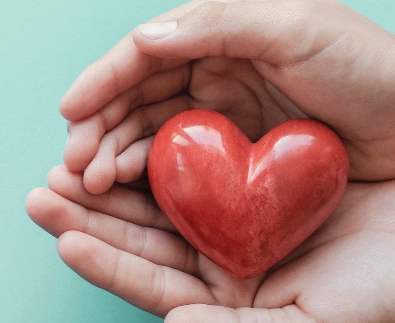 Heart