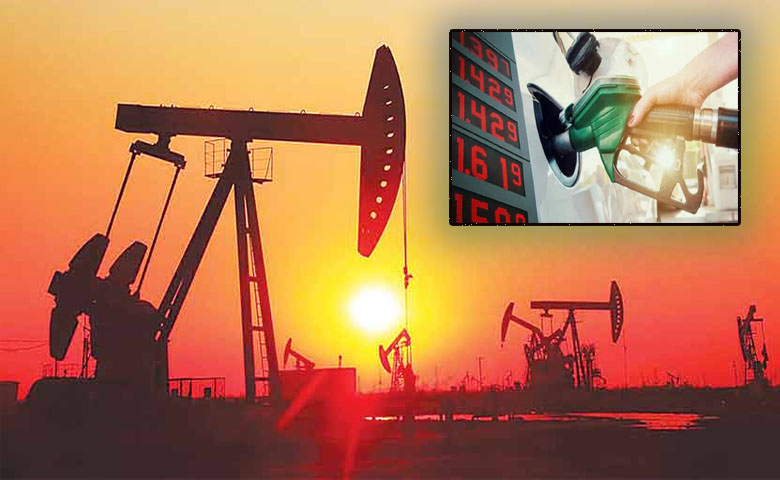 cruid oil