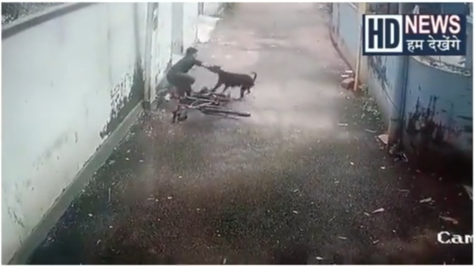 કેરળ