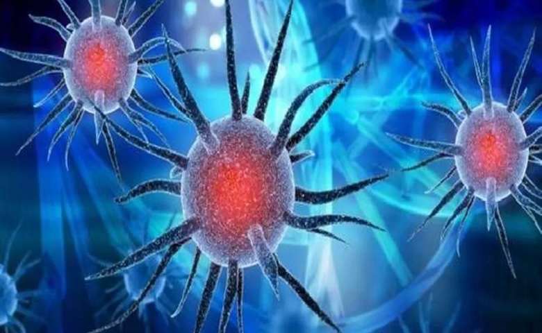 corona virus case