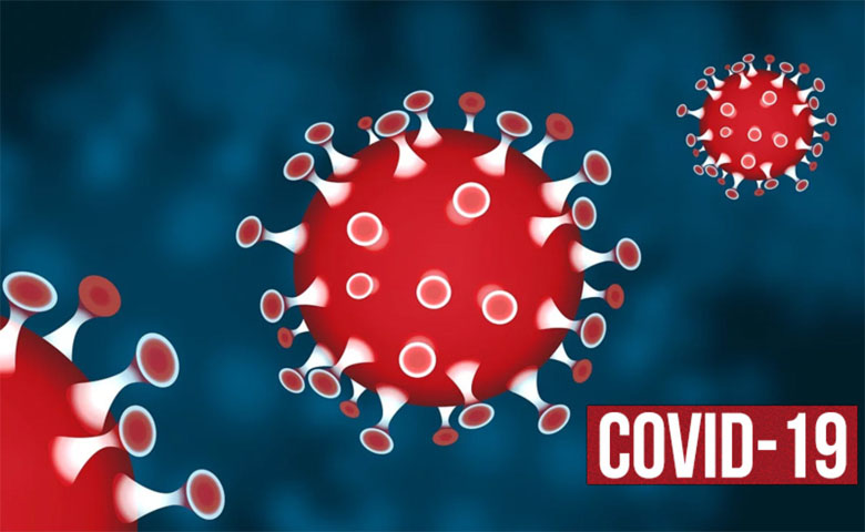 coronavirus Gujarat