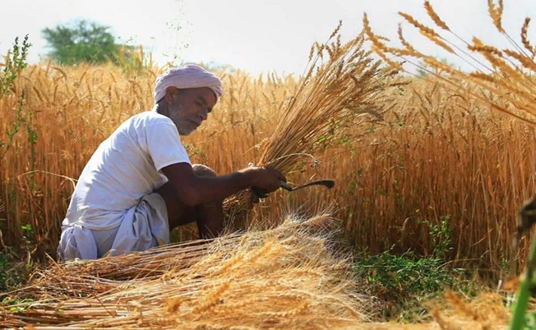wheat-flour prices 