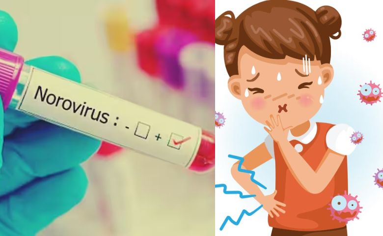 What is NoroVirus Hum Dekhenege News