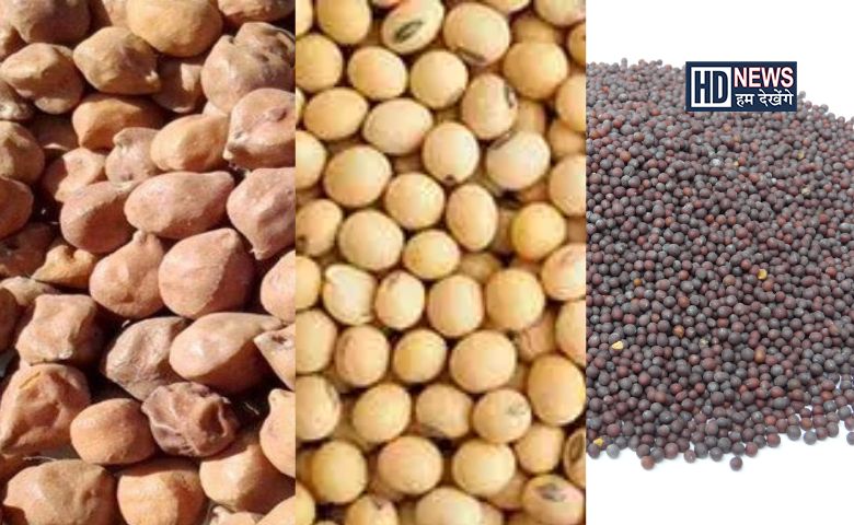 ટેકાના ભાવે ખરીદી -humdekhengenews