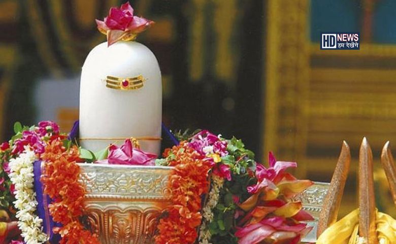 મહાશિવરાત્રિએ અચુક કરો આ ઉપાયઃ શનિની દશામાંથી મળશે મુક્તિ hum dekhenge news