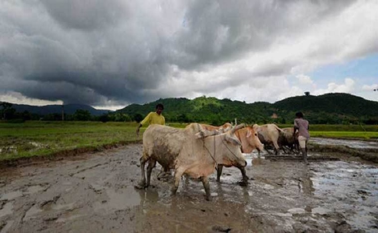 Farmers
