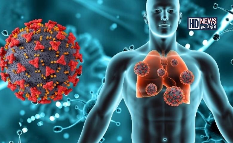H3N2 વાઇરસથી બચવું હોય તો આ વસ્તુઓને કરો ડાયેટમાં સામેલ hum dekhenge news