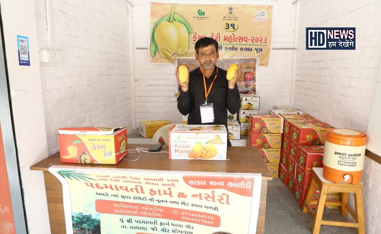 _કેસર કેરી મહોત્સવ-humdekhengenews