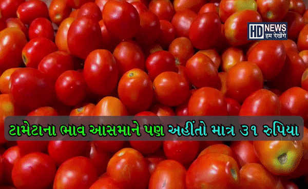 ટામેટાના ભાવ આસમાને પણ આ એક શહેરમાં માત્ર 31 રુપિયા જ!!