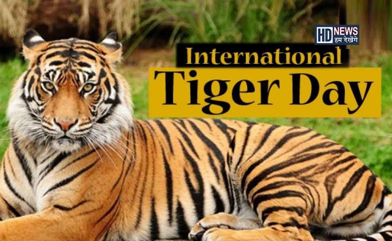 World Tiger Day: વાધની સંખ્યામાં ભારત અન્ય દેશો કરતા ટોચ પર hum dekhenge news