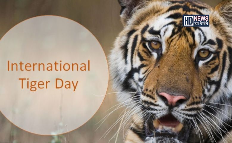 World Tiger Day: વાધની સંખ્યામાં ભારત અન્ય દેશો કરતા ટોચ પર hum dekhenge news