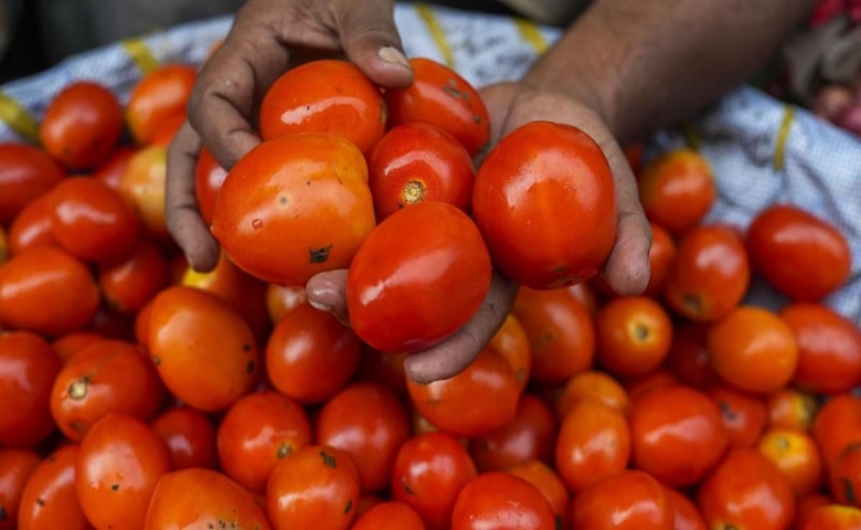 tomatoes