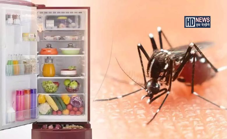 Dengue: ક્યાંક તમારા ફ્રિજમાં તો નથી છુપાયા ને ડેંગ્યુના મચ્છર? hum dekhenge news