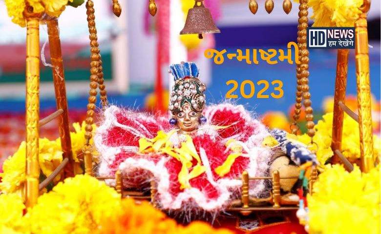 આવક સ્થિર થઇ ગઇ હોય તો જન્માષ્ટમી પર કરો આ ખાસ ઉપાય, લક્ષ્મીજી થશે પ્રસન્ન hum dekhenge news