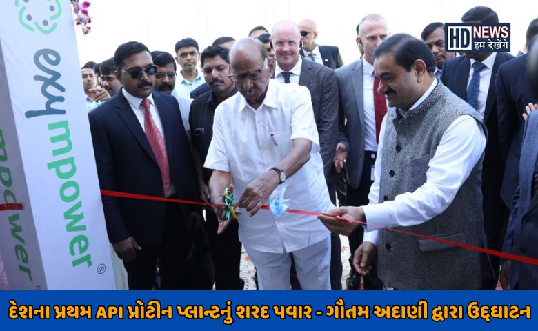 પવાર-અદાણી-NDNews