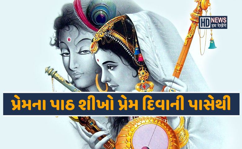 પ્રેમ દિવાની મીરા પાસે શીખવા જેવી છે જિંદગીની આ ખાસ વાતો hum dekhenge news