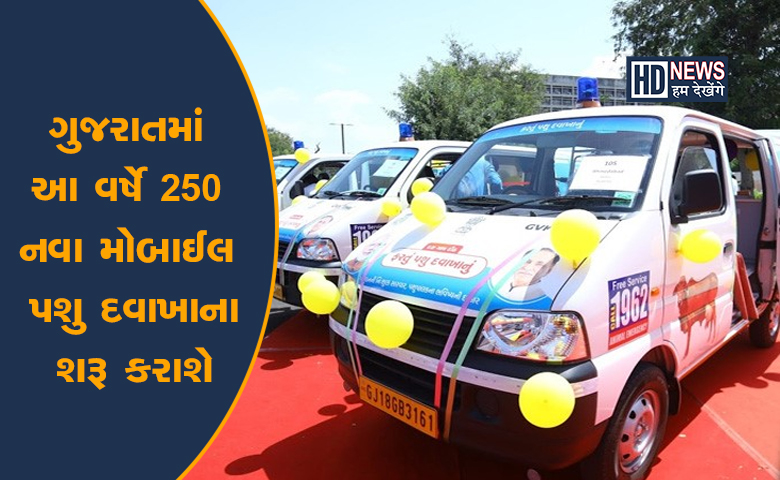પશુ દવાખાનાં-HDNEWS