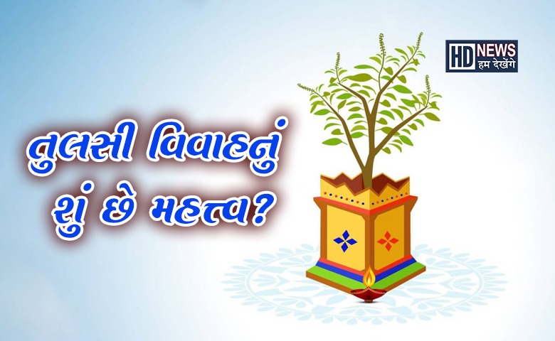 તુલસી વિવાહનું પૂજન ક્યારે અને કેવી રીતે કરશો, શા માટે કરાય છે? hum dekhenge news