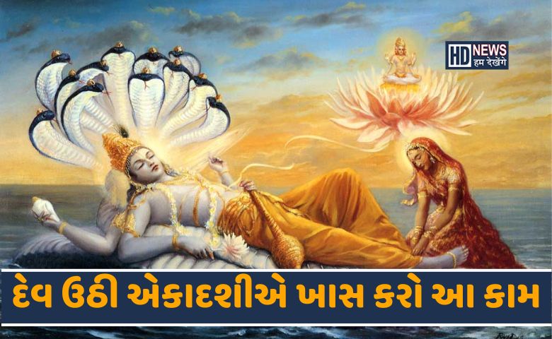 દેવઉઠી એકાદશી પર કરજો આ કામ, મળશે 1000 અશ્વમેઘ યજ્ઞનું ફળ hum dekhenge news