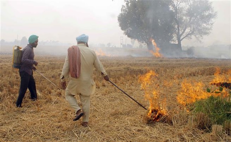 stubble burning