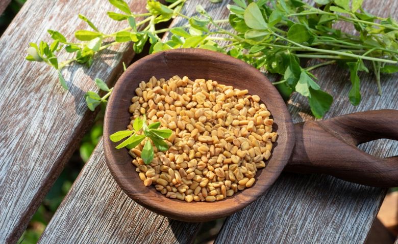 ખાલી પેટ ખાઈ લો આ પાંચ વસ્તુઓ, શરીરની થશે કાયાપલટ hum dekhenge news