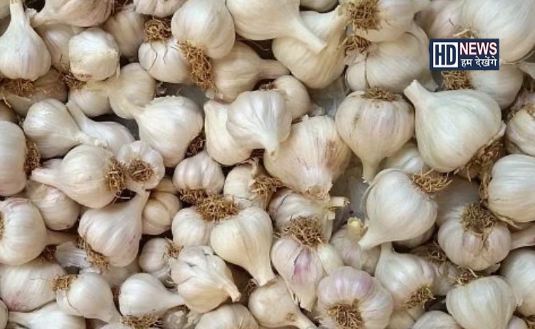 Garlic Price-HDNEWS