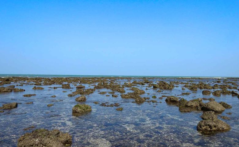 જામનગર મરીન નેશનલ પાર્ક-humdekhengenews