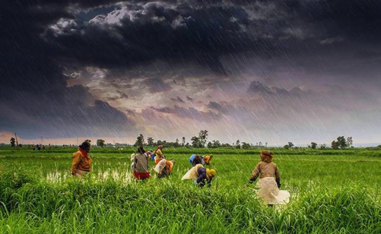 farmers monsoon
