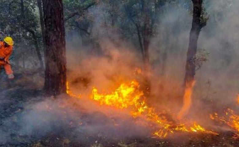 uttarakhand forest fire-HDNEWS