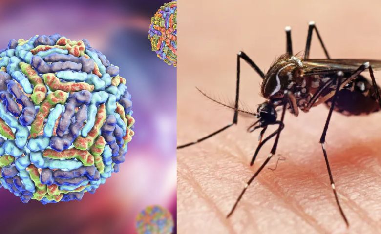 west nile virus