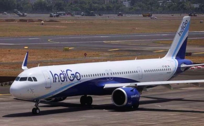 Indigo