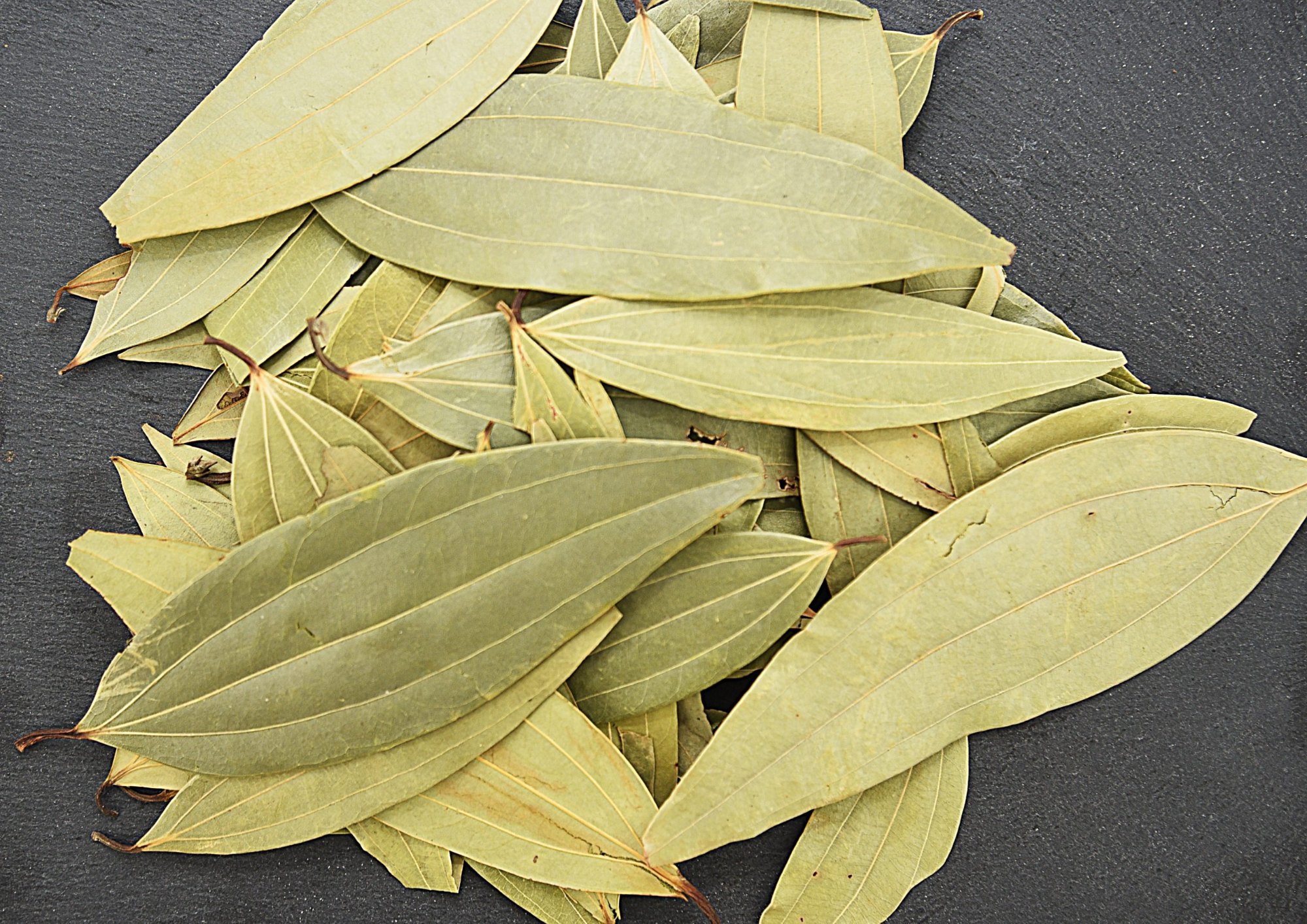 tamalpatra - bay leaf
