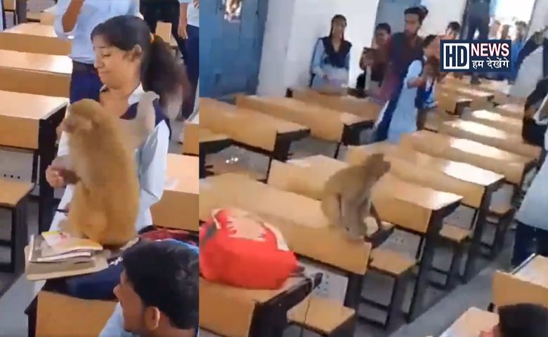 Viral Video