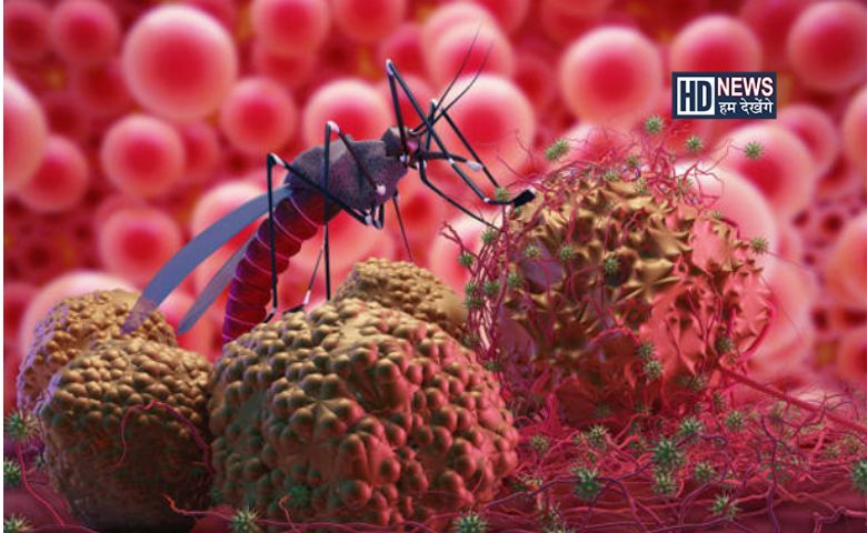 dengue