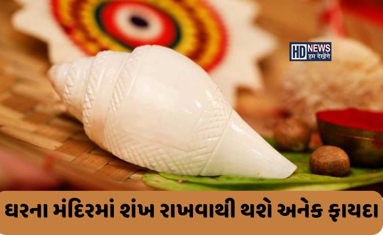 દિવાળી પહેલા ઘરના મંદિરમાં રાખો શંખ, મા લક્ષ્મી થશે પ્રસન્ન hum dekhenge news