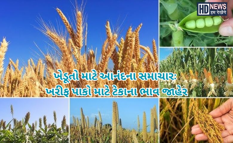 ખરીફ પાકો માટે ટેકાના ભાવ જાહેર - HDNews