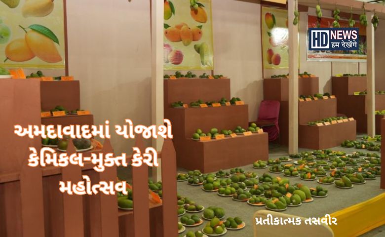 કેરી ઉત્સવ - HDNews