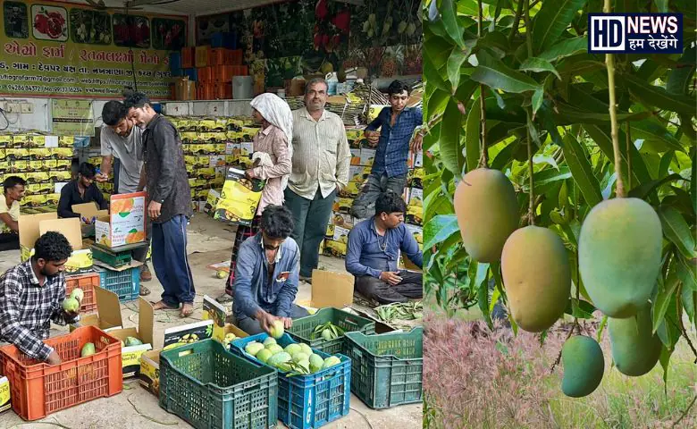 Kheti-HDNEWS