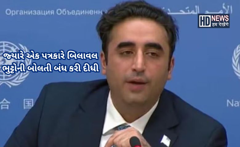 બિલાવલ ભુટ્ટો - યુએન - HDNews
