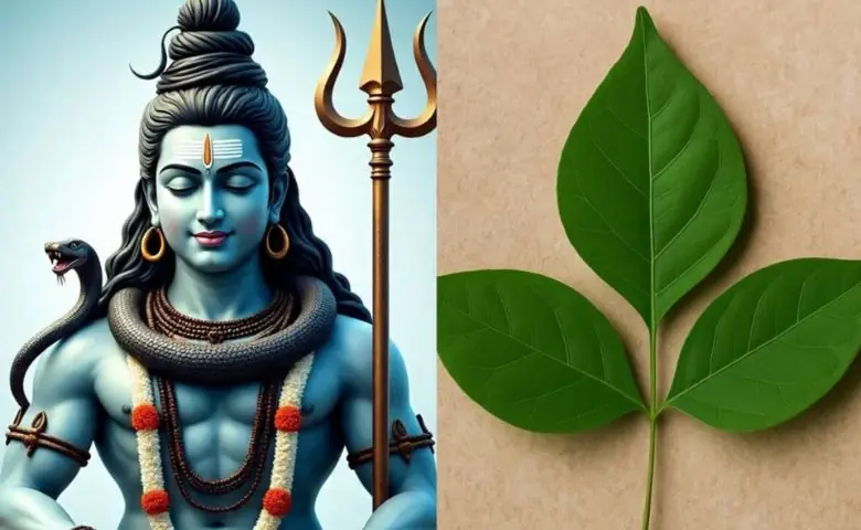 શ્રાવણમાં ભગવાન શિવને 3 પાનવાળું બીલીપત્ર કેમ ચઢાવાય છે, કેમ કહેવાય છે શુભ? hum dekhenge news