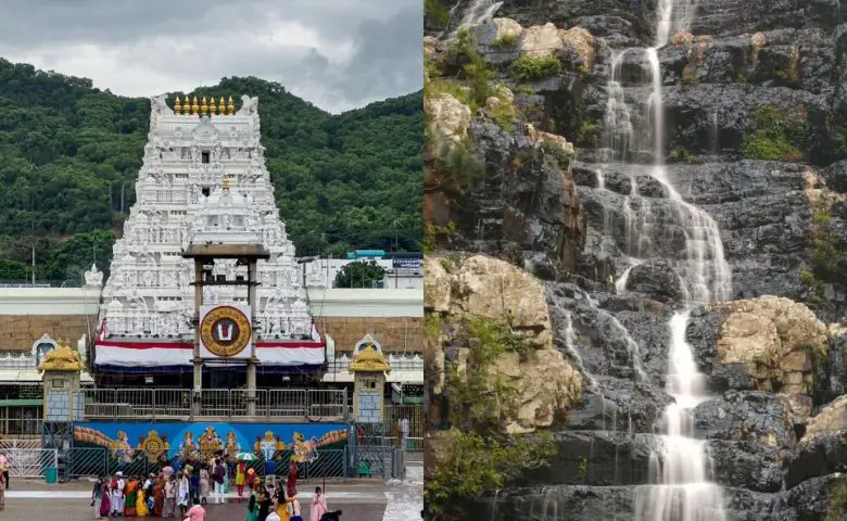 તિરુપતિમાં મંદિર સિવાય પણ છે ફરવાની સુંદર જગ્યાઓ, કરો એક્સપ્લોર hum dekhenge news
