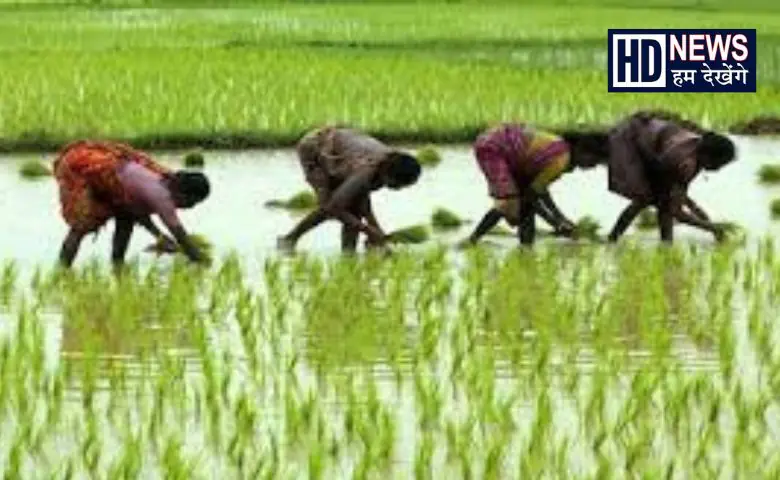 ખેતી ભાવો