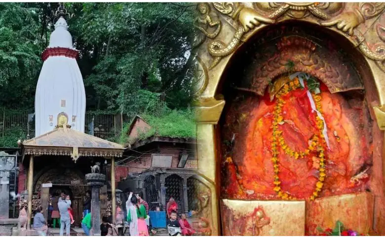 વિદેશમાં પણ પૂજાય છે ભગવાન ગણેશ, ભવ્ય મંદિરોમાં બિરાજે છે બાપ્પાની સુંદર મૂર્તિઓ hum dekhenge news