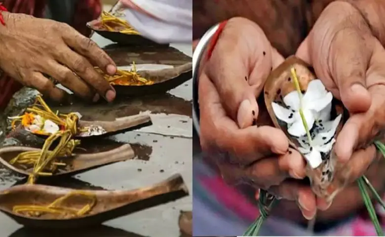 પિતૃપક્ષમાં ઘરે શ્રાદ્ધ કેવી રીતે કરશો? જાણો શુભ મુહૂર્ત અને તર્પણ વિધિ hum dekhenge news