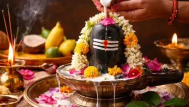 Mahashivratri: જો શિવરાત્રી પર શિવલિંગ સ્થાપિત કરી રહ્યા હો તો ન કરશો આ ભૂલ, જાણો વાસ્તુ નિયમ hum dekhenge news