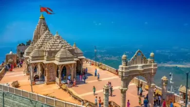 ગુજરાતમાં પ્રવાસન, યાત્રાધામ, અને નાગરિક ઉડ્ડયન માટે બજેટમાં કેટલા કરોડની જાહેરાત કરાઈ? hum dekhenge news