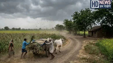 Weather change in Gujarat
