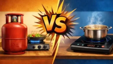 LPG સંકટમાં ઈંડક્શન બન્યો સહારો, સરકારે પાંચ વર્ષ પહેલા શરૂ કર્યુ હતું ઈલેરકટ્રિક કુકિંગનું મિશન hum dekhenge news