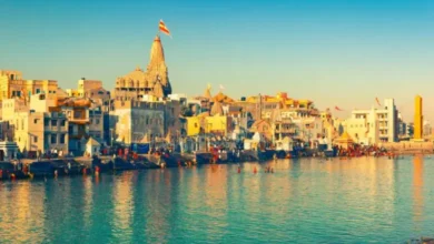 ગુજરાતમાં ફરવા માટે છે આ સુંદર લોકેશન્સ, આખી દુનિયામાં નહિ મળે આવી શાંતિ hum dekhenge news
